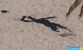 PW-Sportphoto_DSC_4427